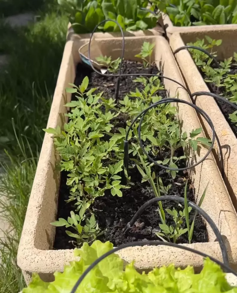 whatsapp-image-2024-05-01-at-14.13.40