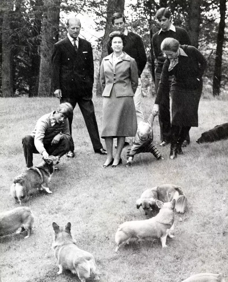 Cine va moșteni iubiții corgi ai reginei Elisabeta a II-a. Cei doi câini rămân în familie