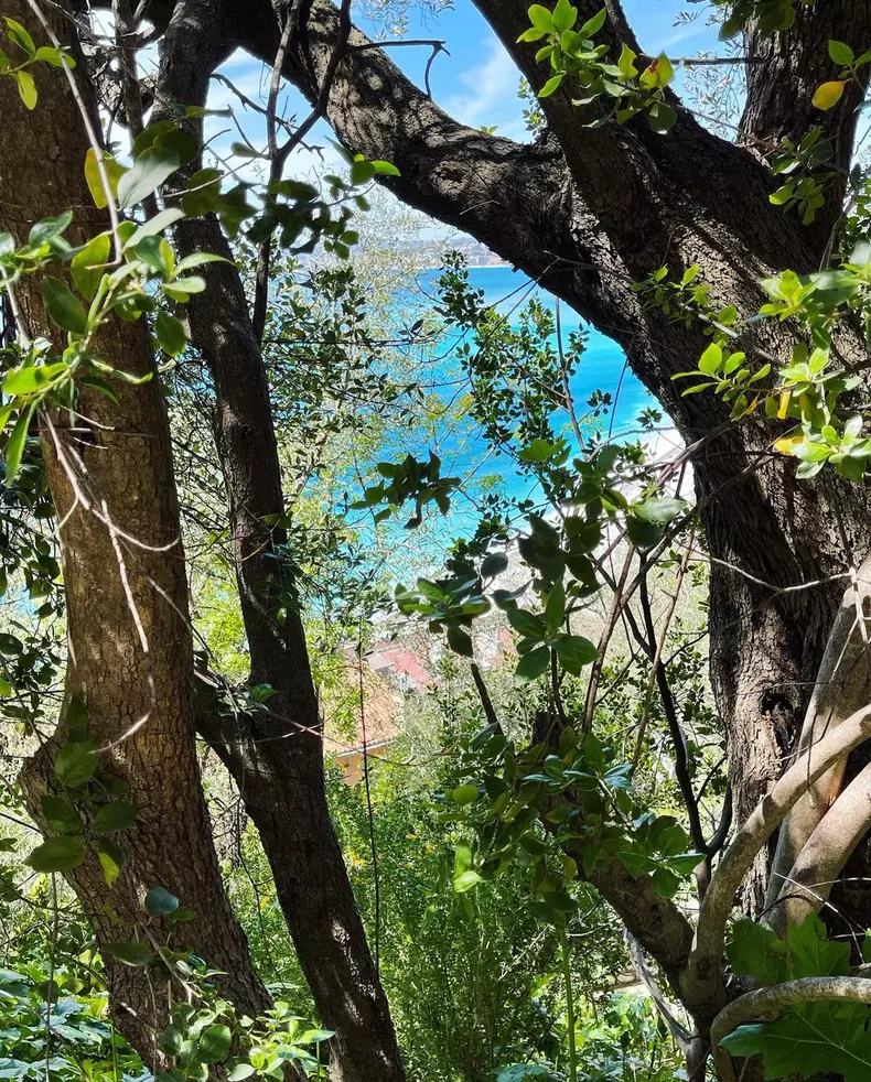 Irina Rimes, fotografie romantică alături de iubitul francez Arată exact așa cum îmi doream la 18 ani (3)