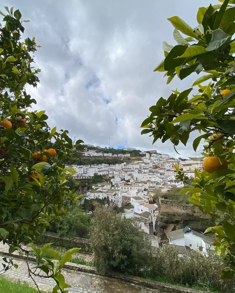 Setenil de las Bodegas8