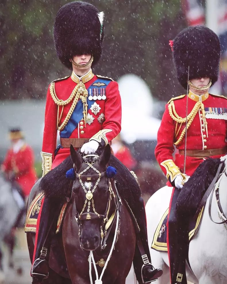 william 5
