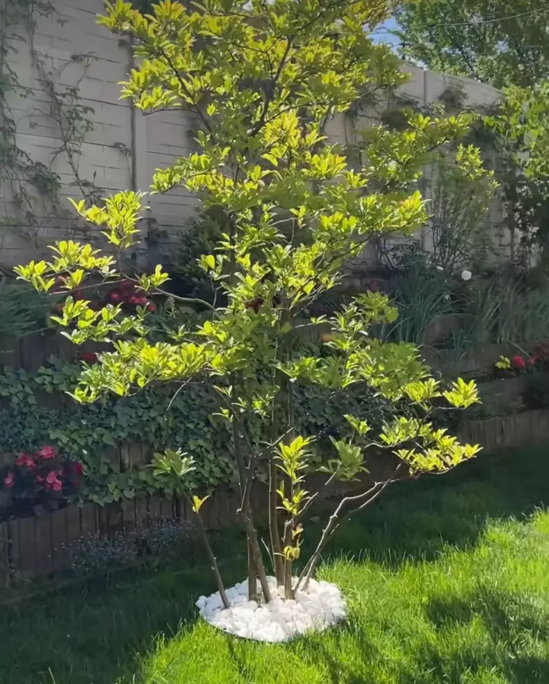 whatsapp-image-2024-05-01-at-14.13.37