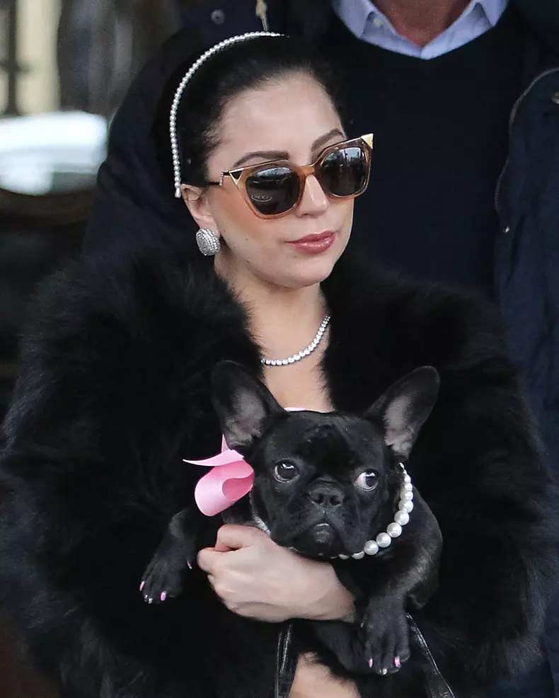 Sentința uluitoare primită de unul dintre atacatorii bărbatului care plimba câinii cântăreței Lady Gaga. Decizia e definitivă