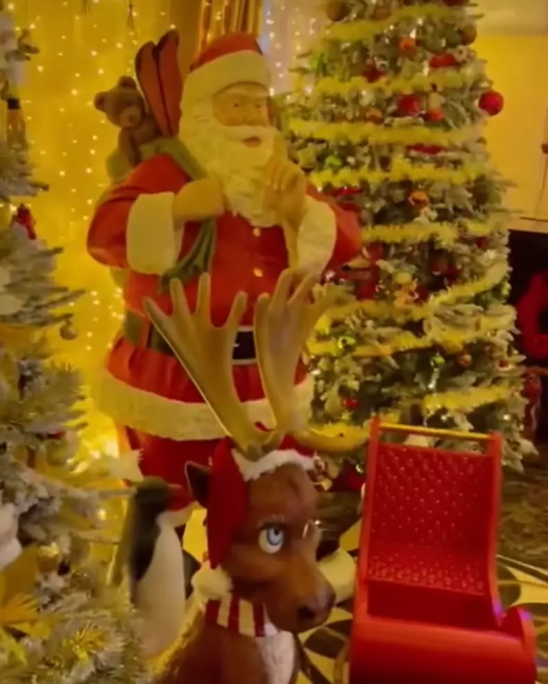 whatsapp-image-2022-12-21-at-18.50.21