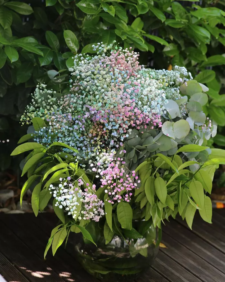 anca-lungu-aniversare-natalia-8