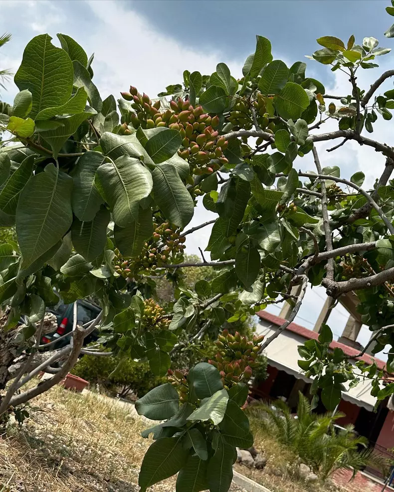 iulia-parlea-vacanta-grecia-7