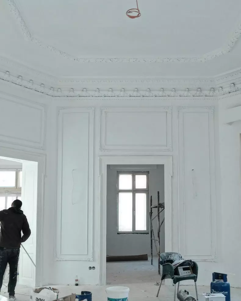 Ana Baniciu casa (5)