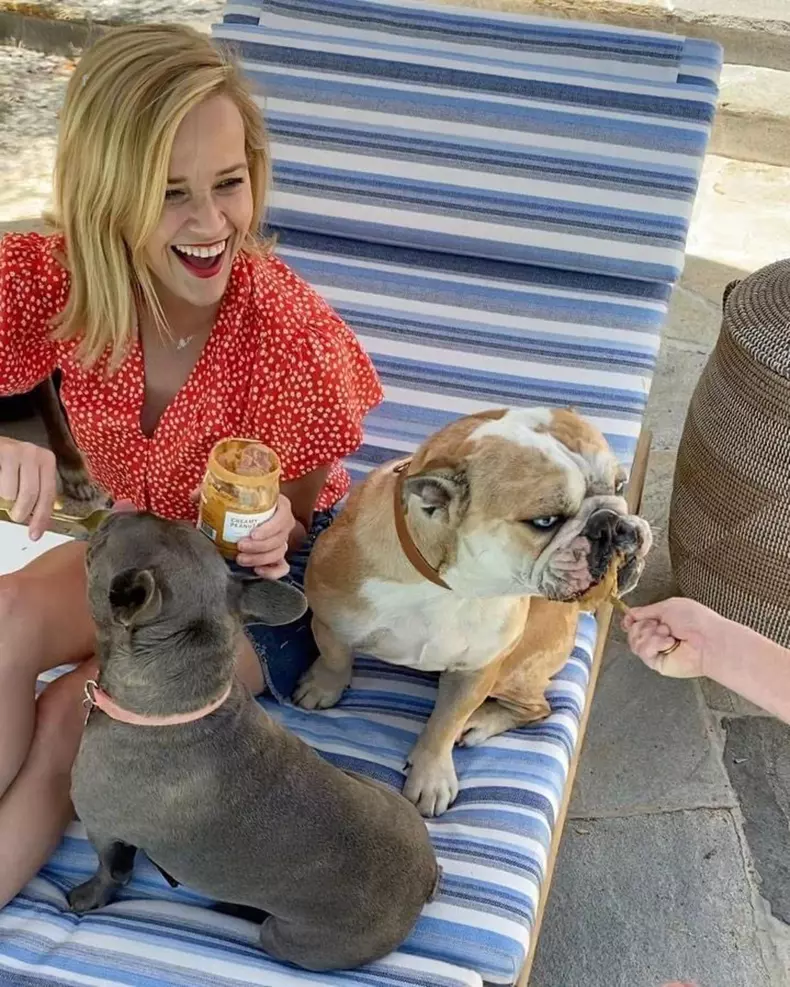 Daily Instagram Posts