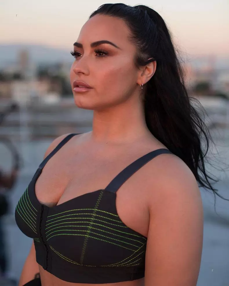 Demi Lovato și Ehrich s-au despărțit