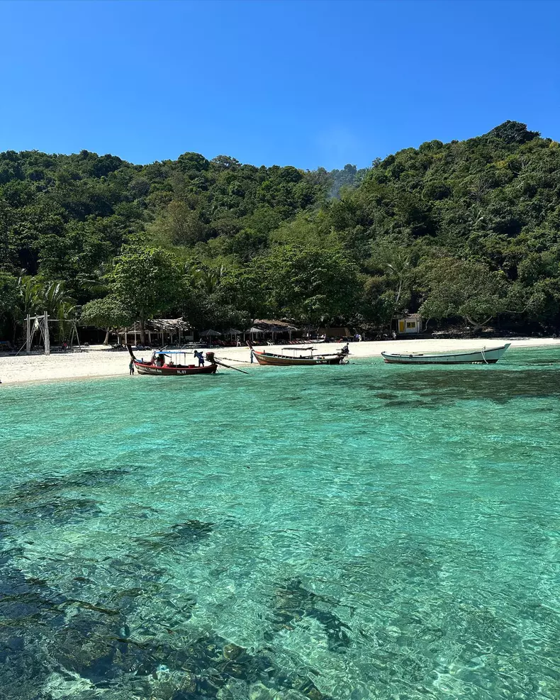 323463764_691032189177006_1634164693679696471_n