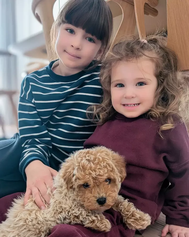 Vladimir-Draghia-familie-membru-nou-2