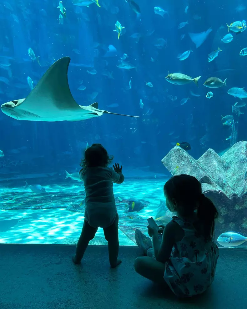 171475430_4293484857350922_9222558980814233661_n