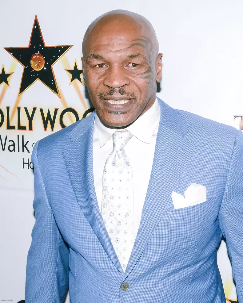 Hollywood Walk of Fame Honors