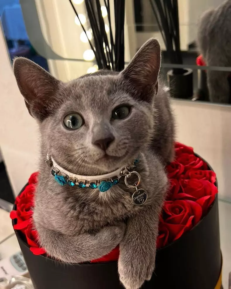 oana-zavoranu-2022-277179751_1259316141260146_2811679056487610544_n