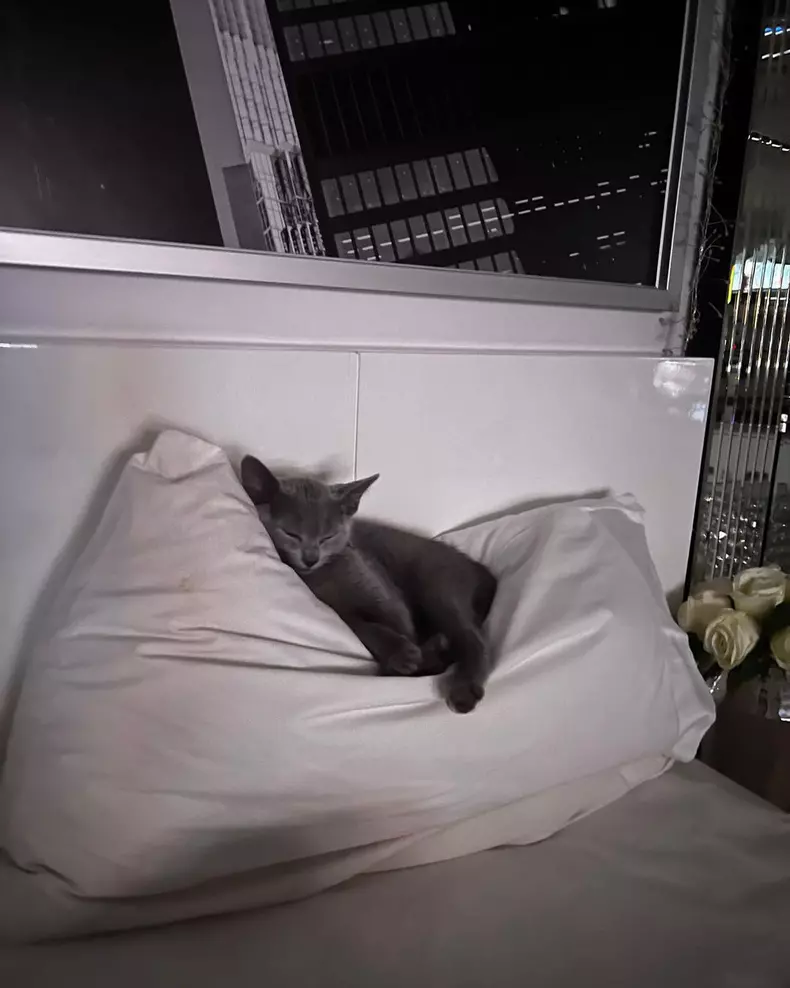 oana-zavoranu-2022-277392152_1027617054521830_8140709988894239903_n