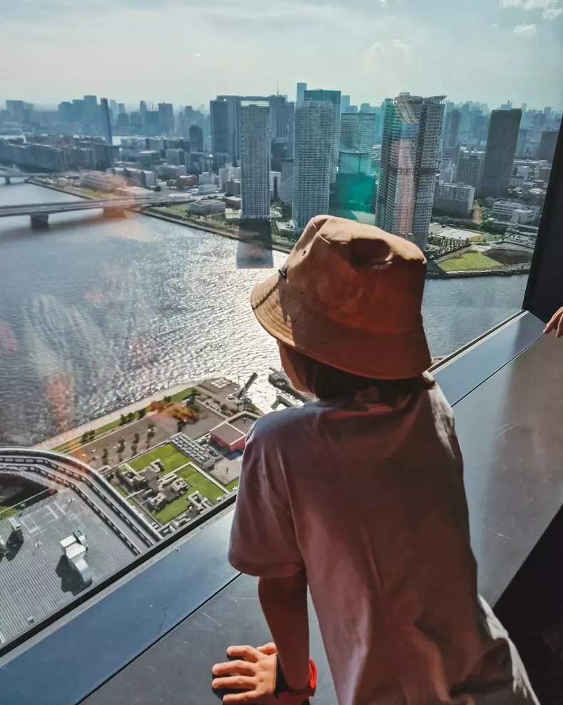 dana-rogoz-vacanta-de-vis-in-japonia-1-1