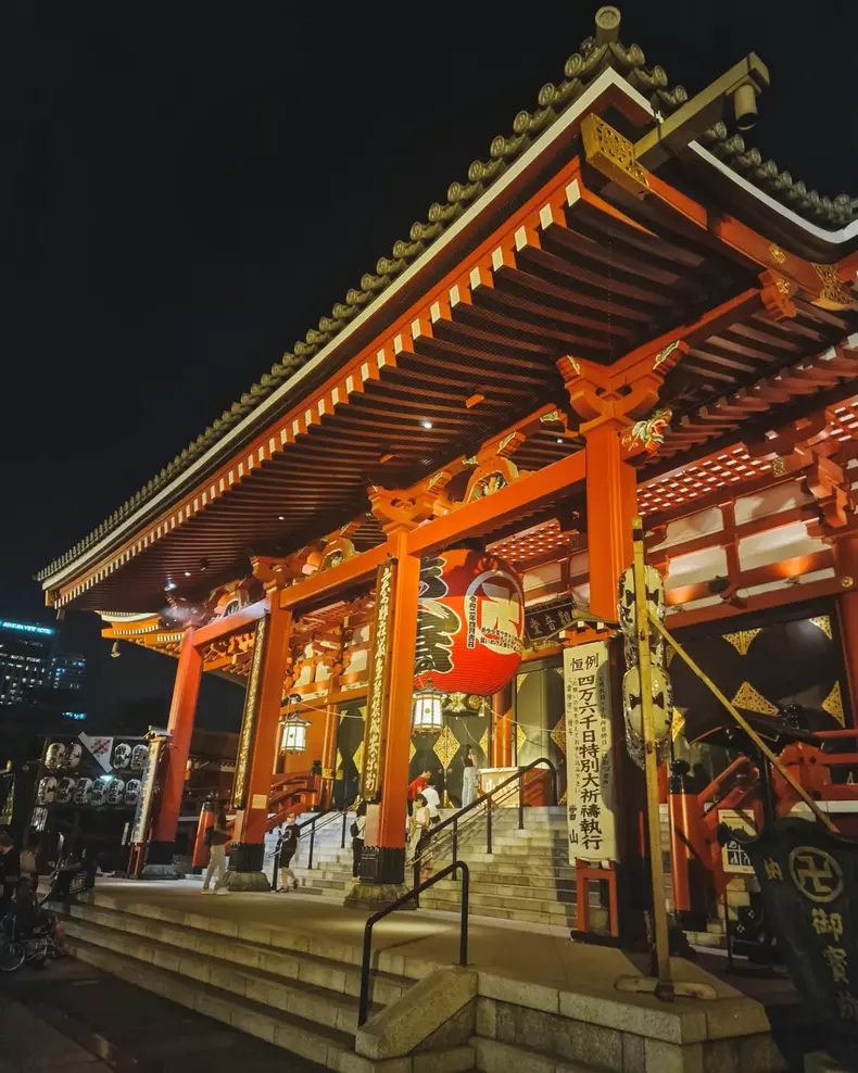 dana-rogoz-vacanta-de-vis-in-japonia-1