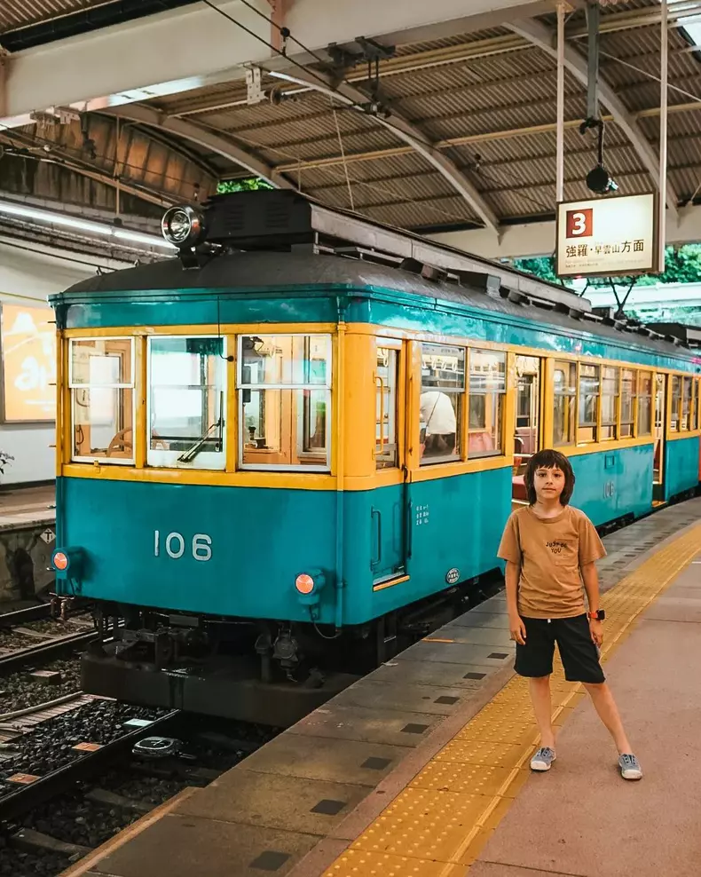 dana-rogoz-vacanta-de-vis-in-japonia-7-1