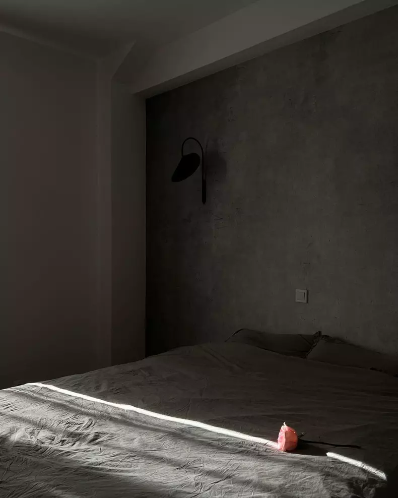 Sânziana Negru casa (6)