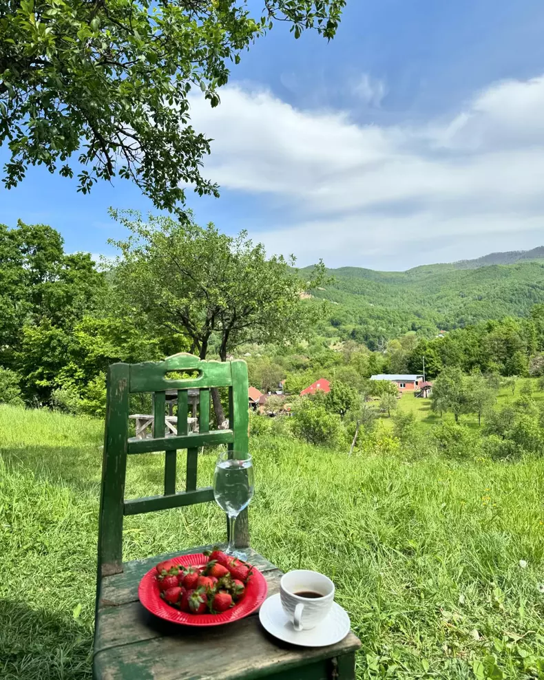 Privelişte din casa Laurei Cosoi din Maramureş