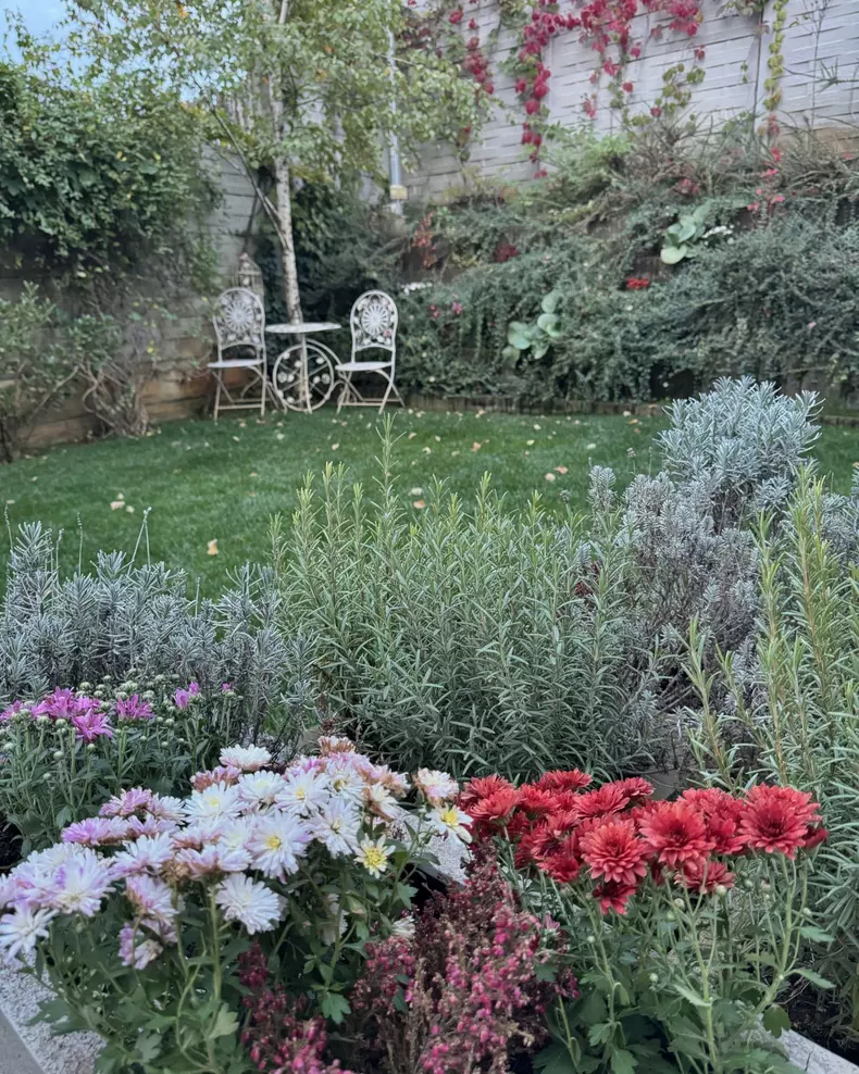 Curte casa Andreea Marin (3)