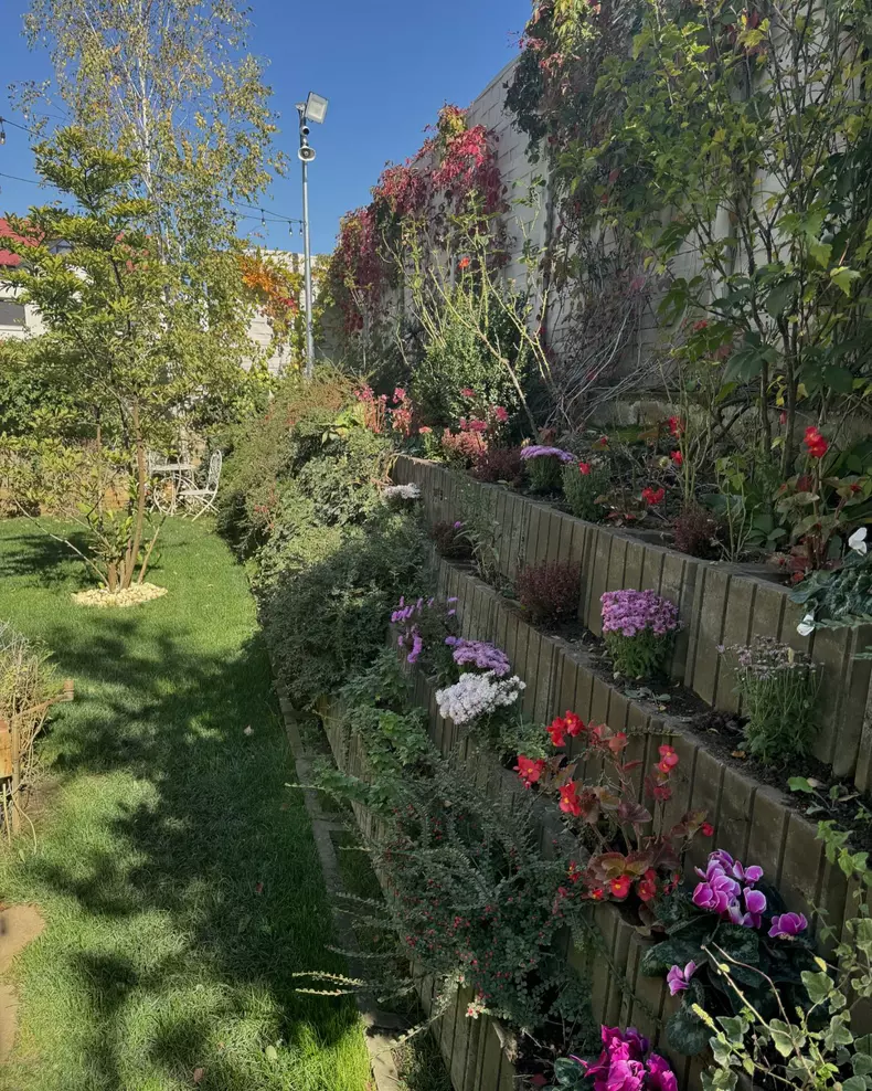 Curte casa Andreea Marin (7)