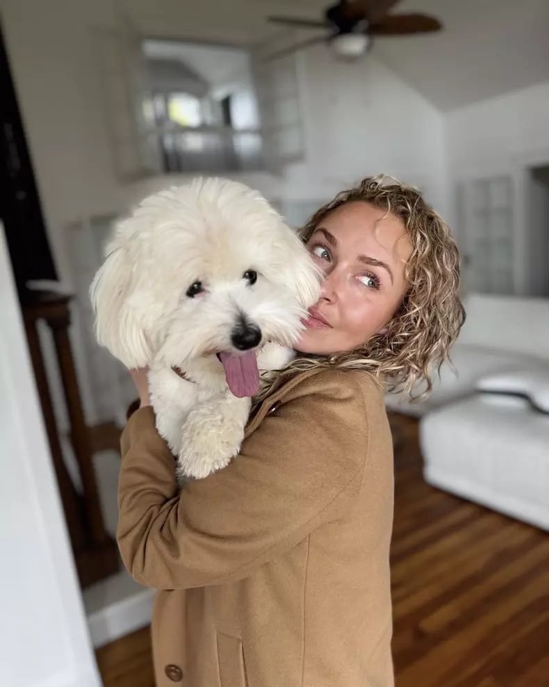 hayden panettiere ctreata