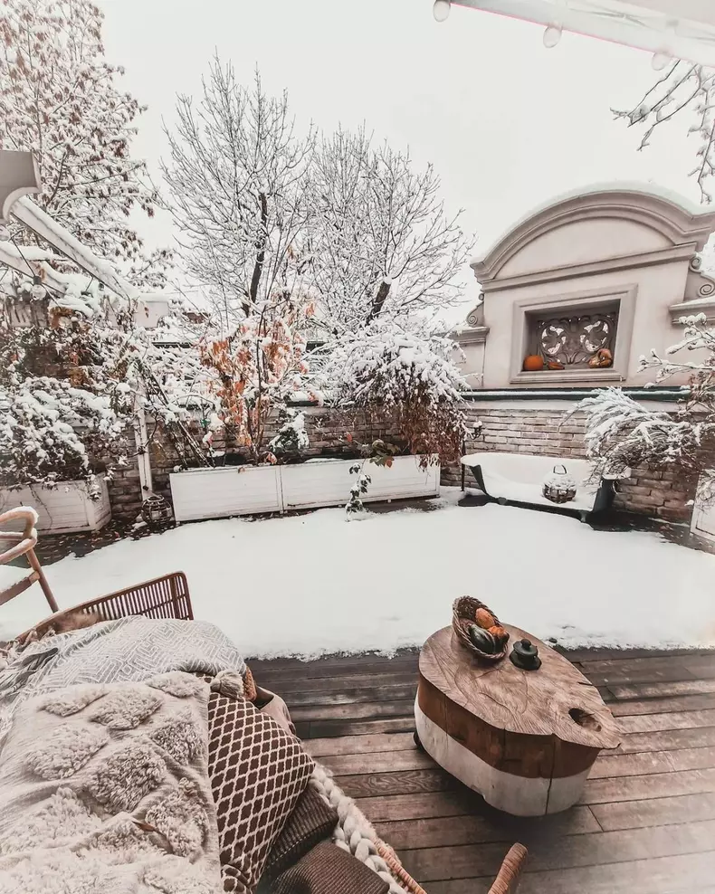 Imagini din casa danei rogoz (1)