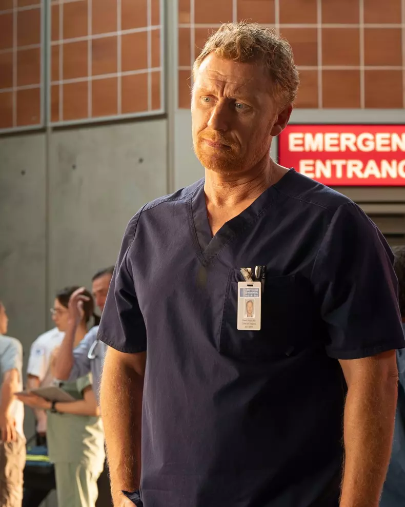 Greys 1 X