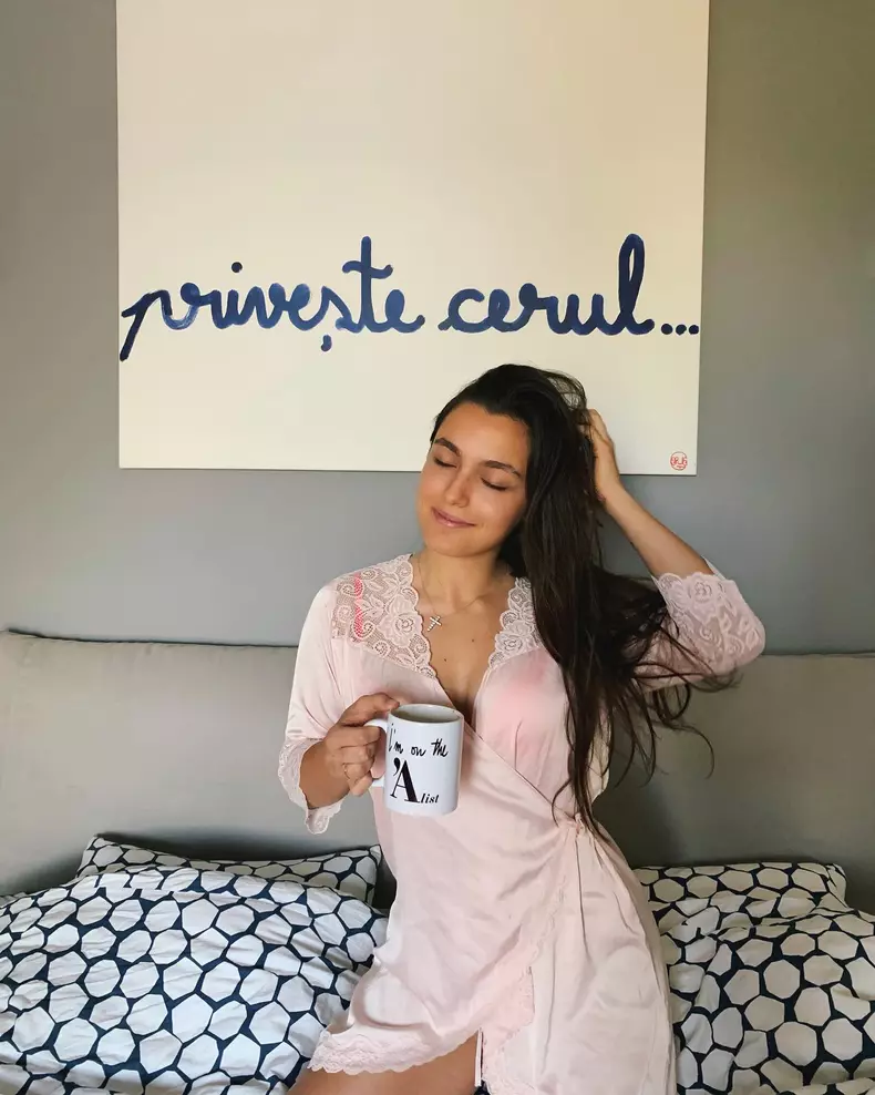 imagini casă Andreea Esca (4)