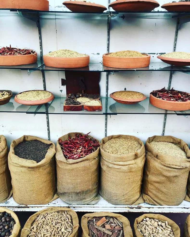 Delia, vacanță superbă în India (5)