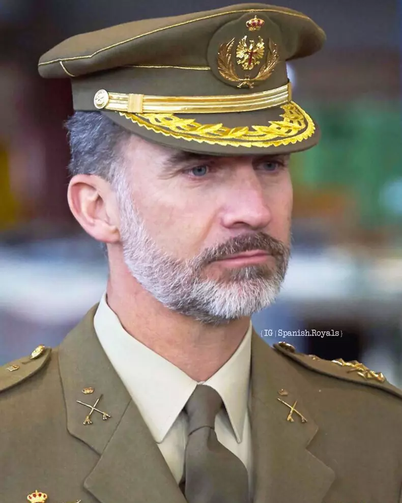 Regele Felipe