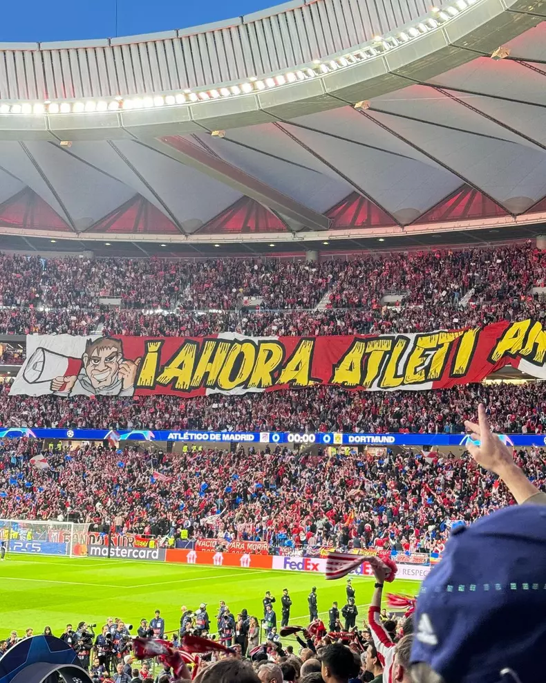 corina-caragea-stadion-5