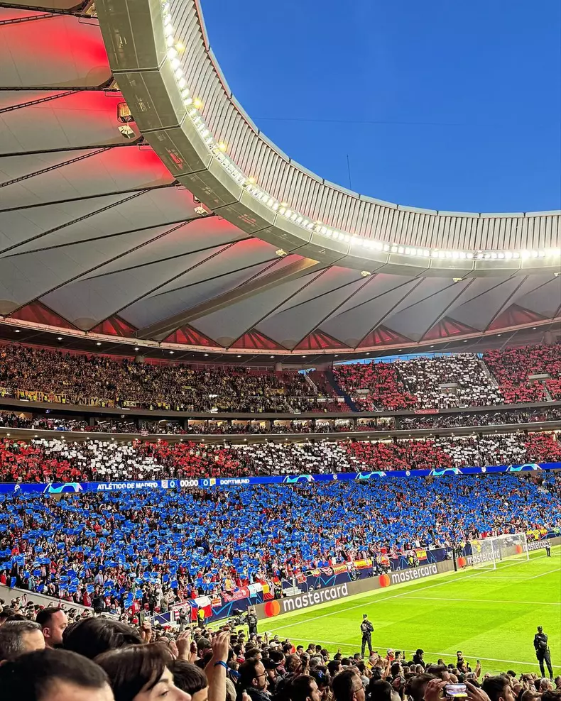 corina-caragea-stadion-6