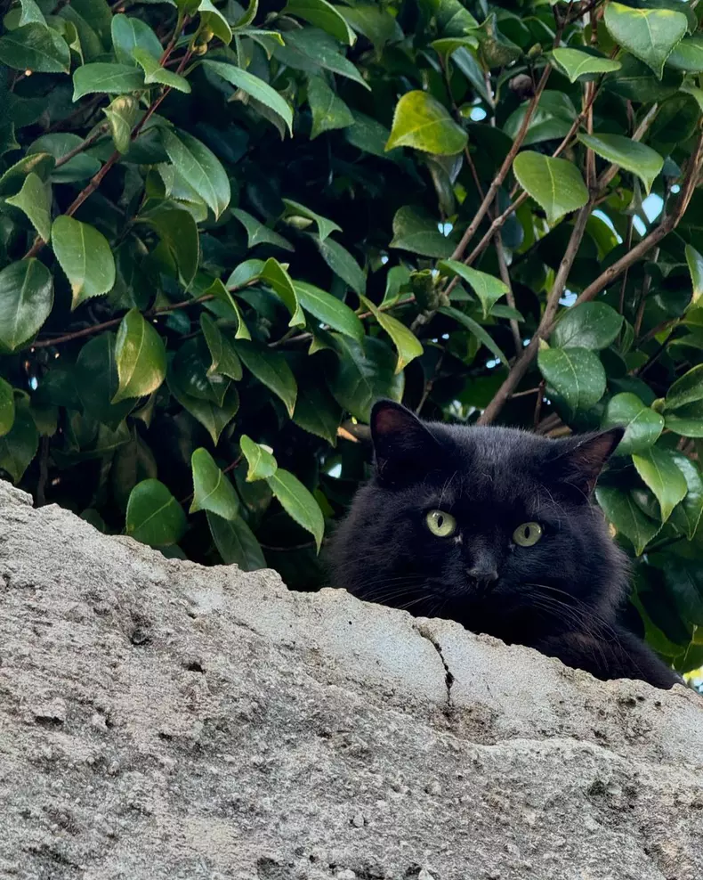 Delia, imagini din vacanța în Procida, Italia  (2)