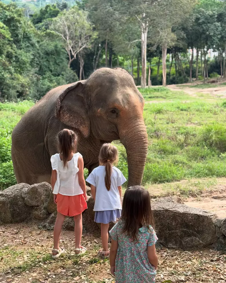 Cum a petrecut Laura Cosoi prima zi din 2025  (1)