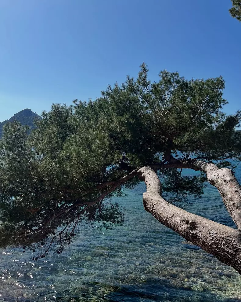 Marina-Nitoiu-vacanta-Mallorca-3