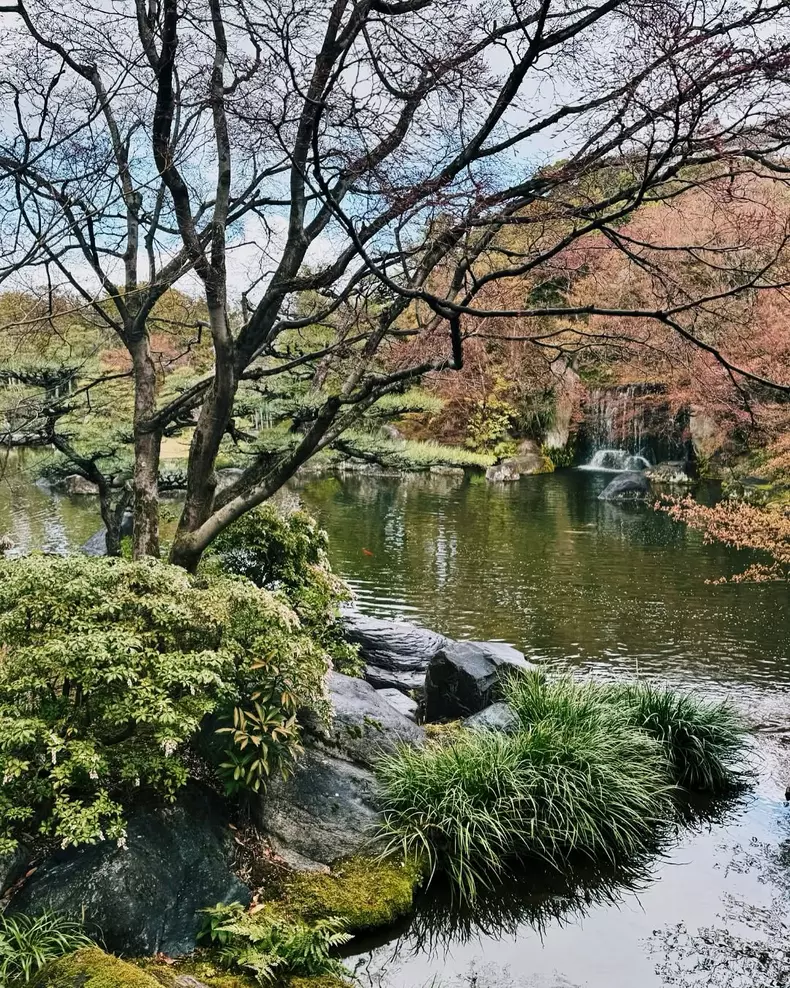 Ramona-Olaru-Japonia-7