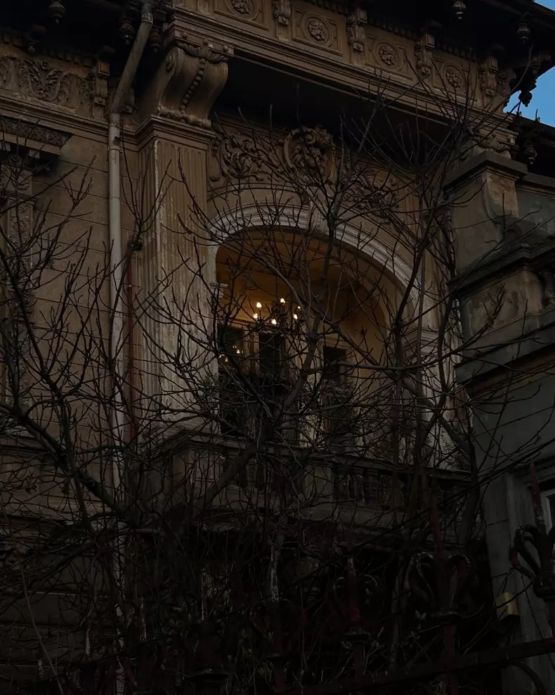 Cât a costat casa cumpărată de Iulia Albu  (6)