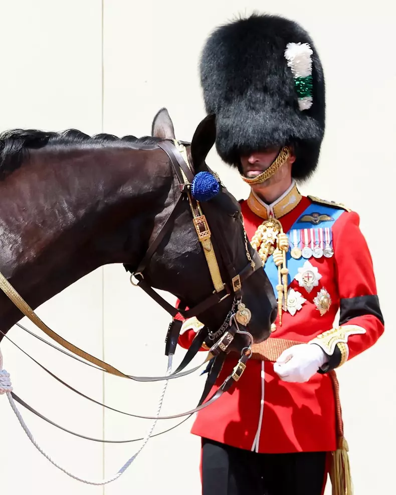 prințul-william-kate-george-charlotte-louis-parada-trooping-the-colour (8)