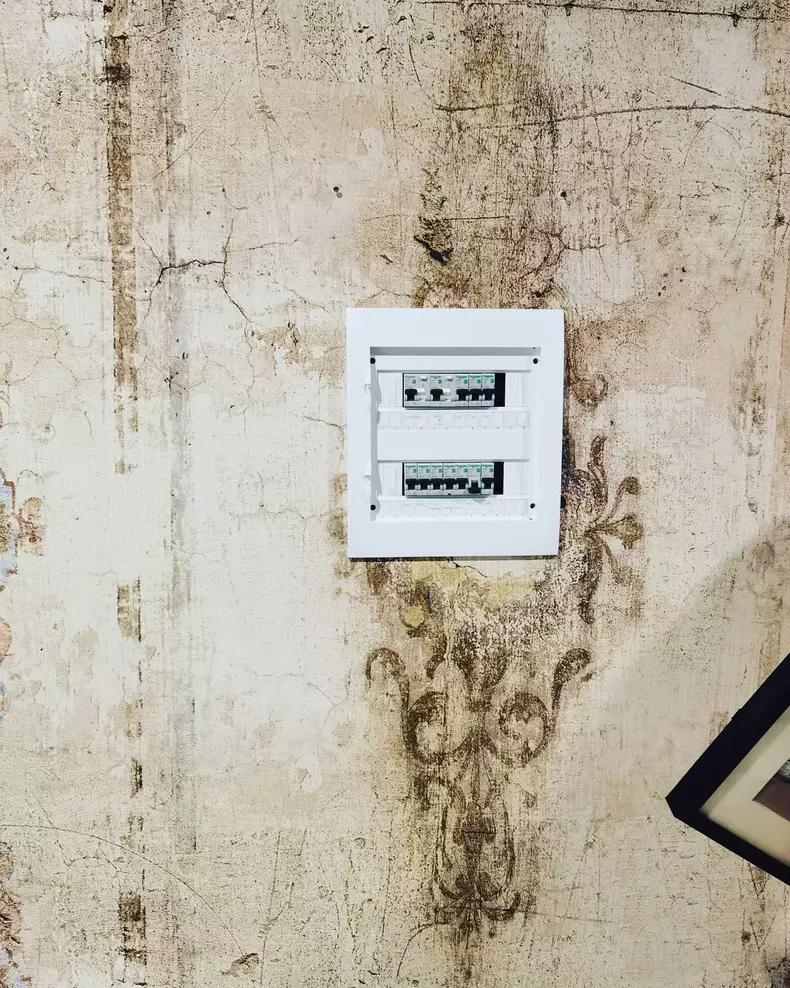 200867463_343972097089725_1801974193471232163_n