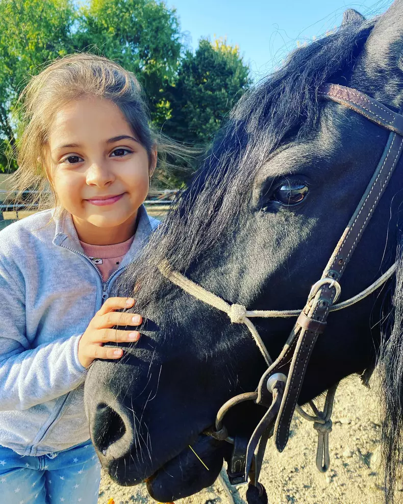 FIICA LUI DENIS STEFAN