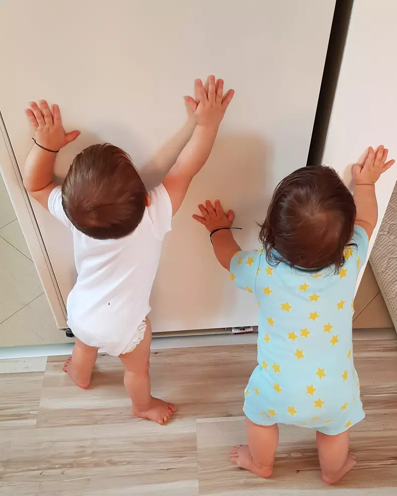 gemenii-Ioanei-Picos-