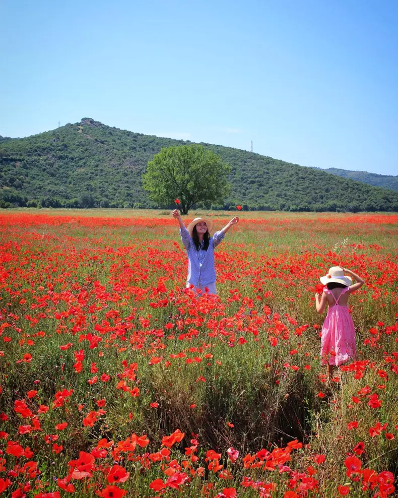 187840145_3668854489885249_6220423038091975113_n