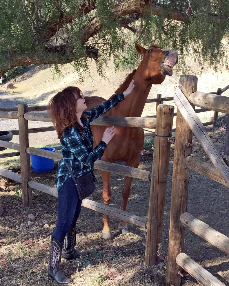 444935365_1031550858334823_1079608877476313561_n