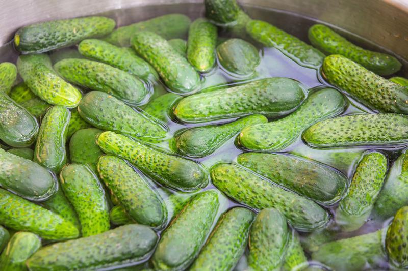 astraveți bulgărești