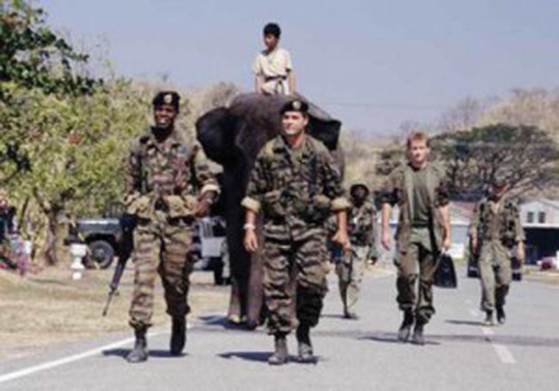 Operation Dumbo Drop2 copy