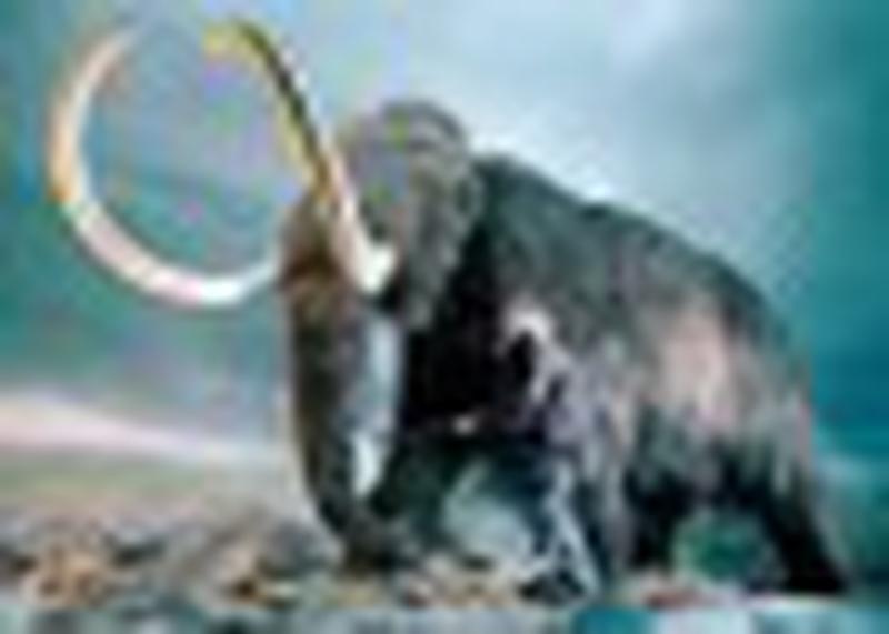 Raising the Mammoth