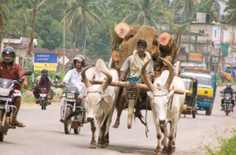 india