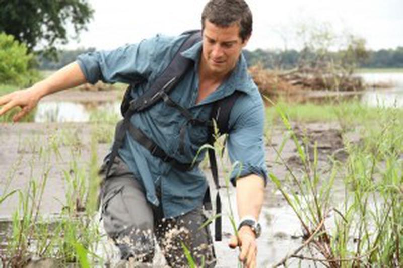 Bear Grylls 